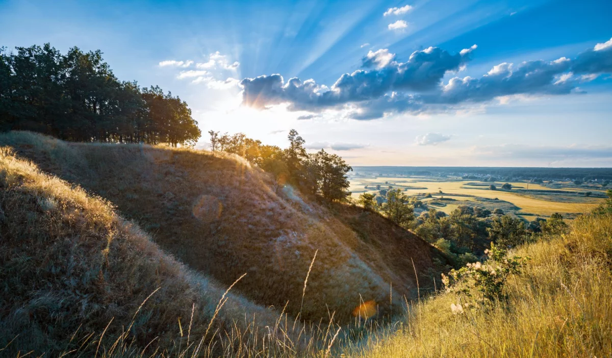 Czy możesz reklamować?