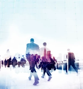 Czy żeby uzyskać prawo potrzebne są studia?