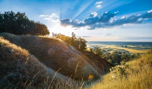 2023 czas aby lepiej  kupić elektronikę