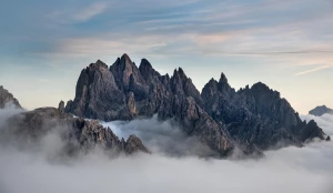 Wartość tego jak  kupić para cord w 2023