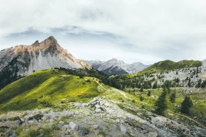 Pozycjonowanie Rybnik: 7 kroków lokalnego SEO dla firm z Rybnika, które zwiększą widoczność w Google i mapach