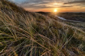 Szukam 3 Osób, Którym Przekażę Rozwiązanie Jak uprawiać sporty